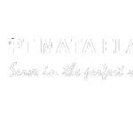 Logo PT Mata Elang Prima