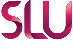 Logo PT Light Sign Display
