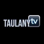 Logo TAULANY TV PRODUCTION TEAM