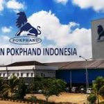 Lowongan Kerja di PT Charoen Pokphand IndonesiA