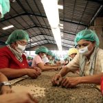 Lowongan Kerja di Karir Kopi